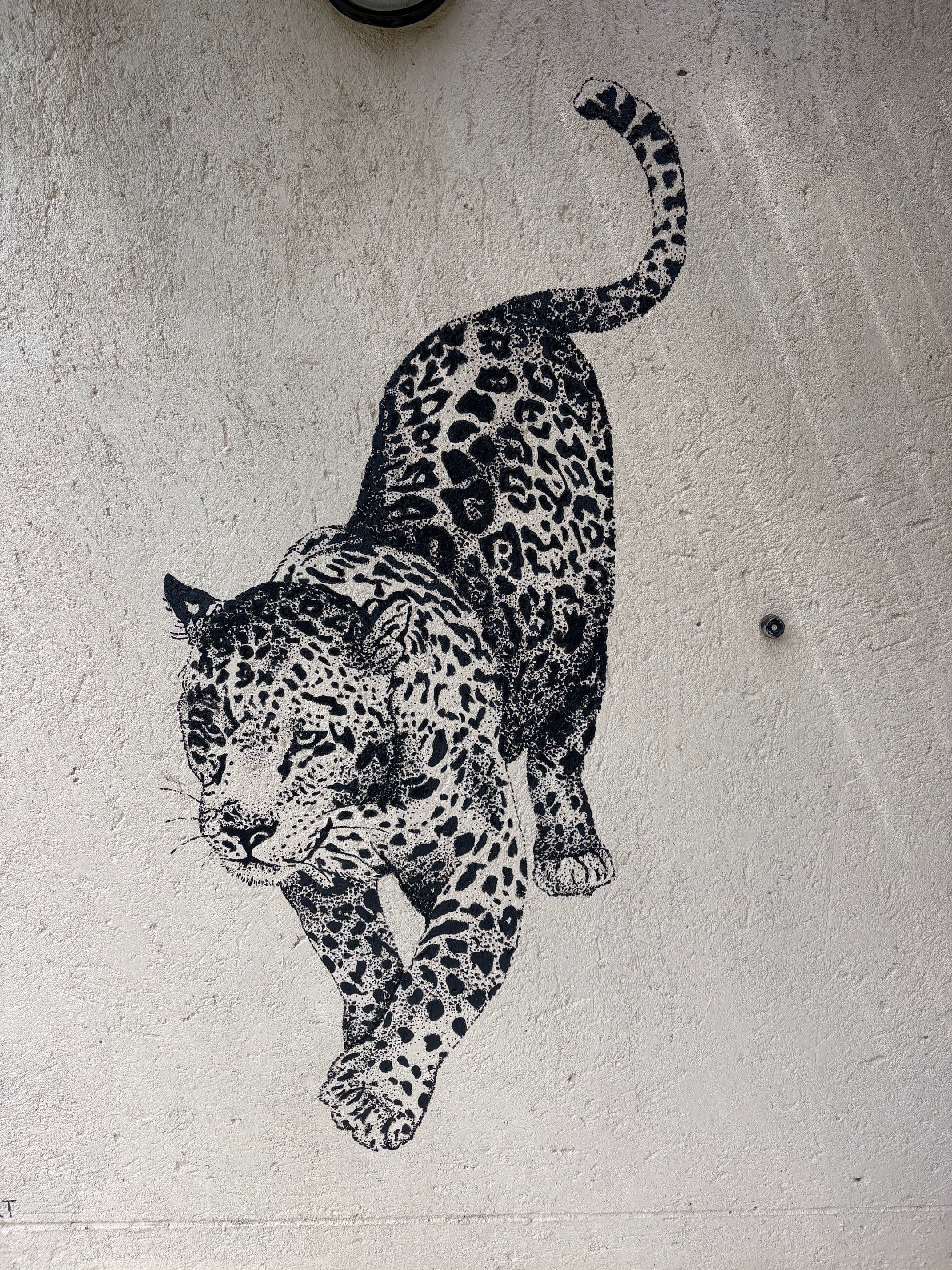 Projet Afrique du Sud - 1