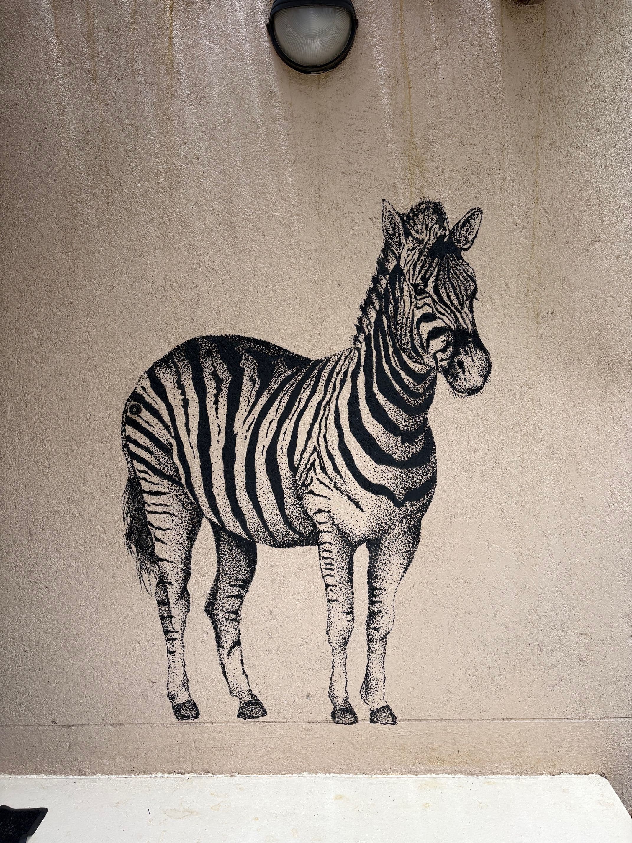 Projet Afrique du Sud - 6