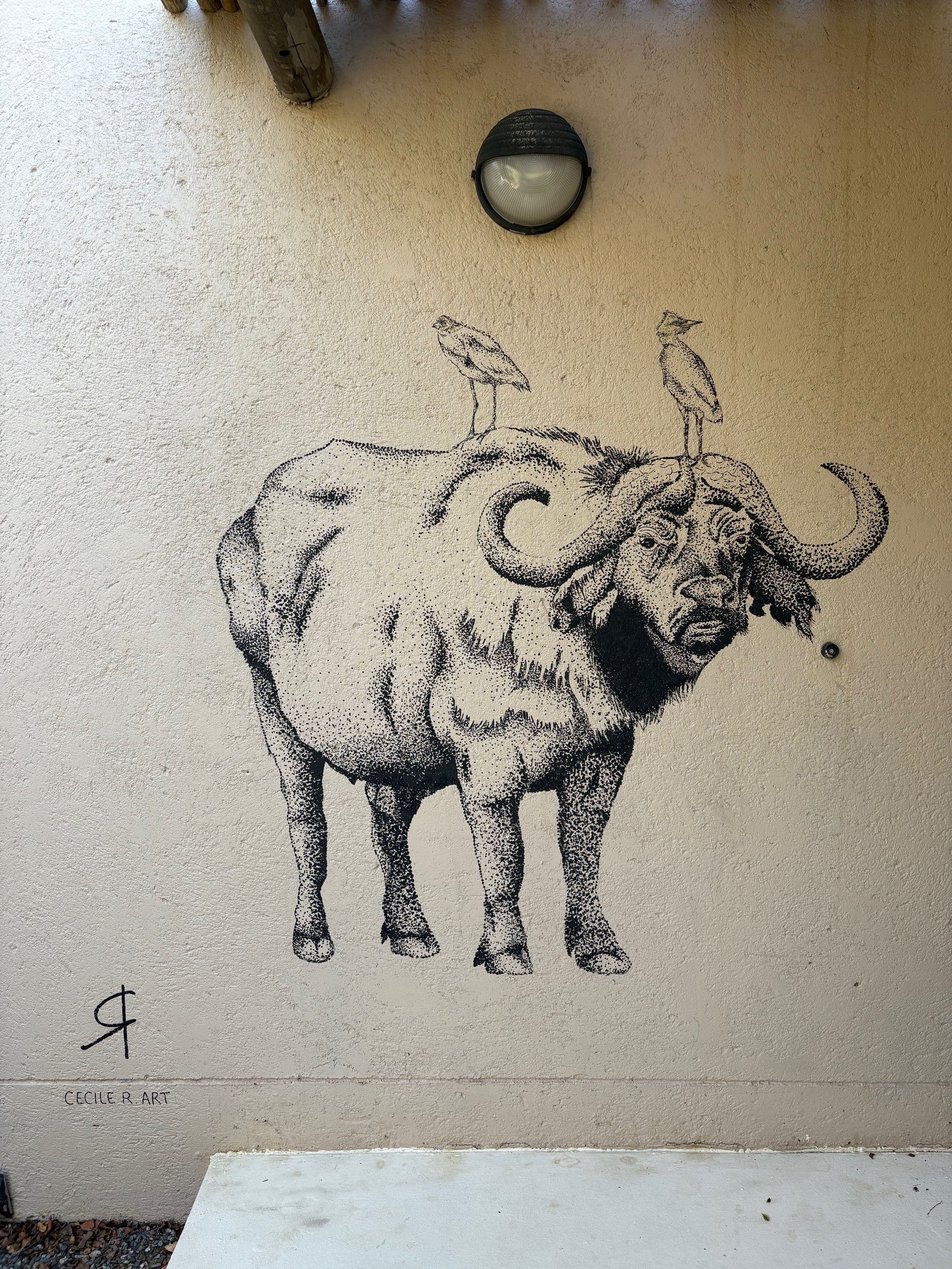 Projet Afrique du Sud - 3