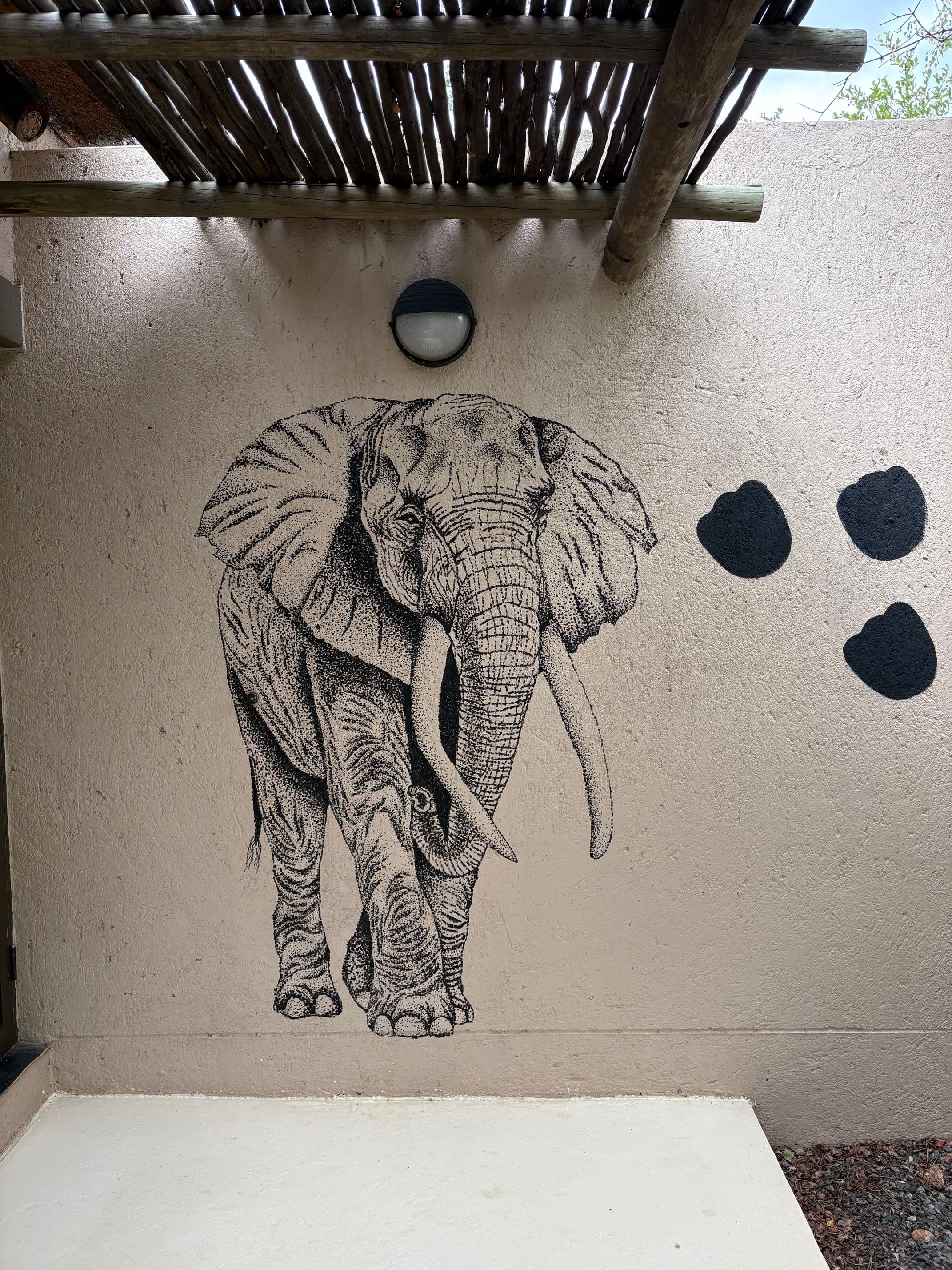 Projet Afrique du Sud - 4