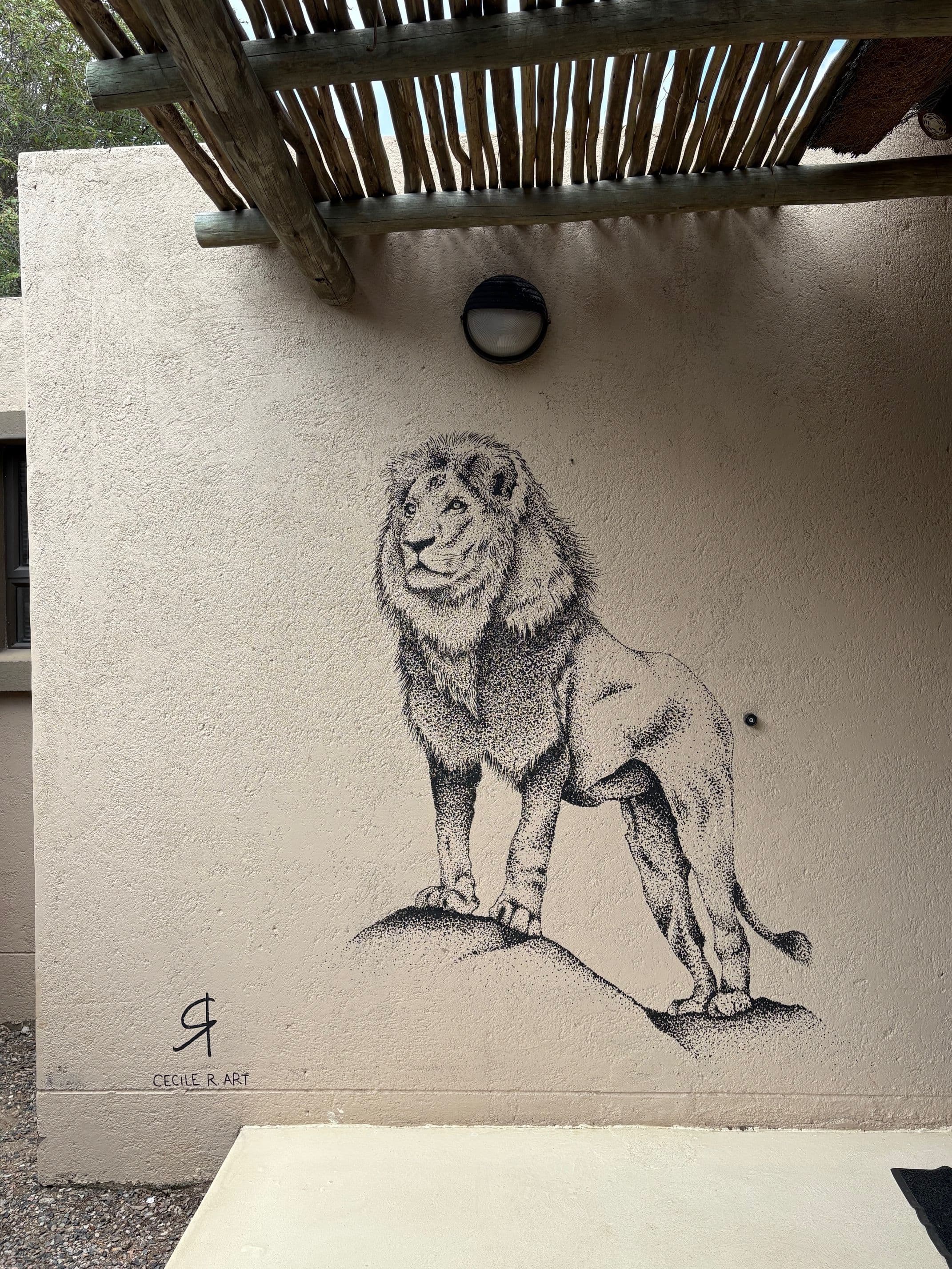 Projet Afrique du Sud - 2