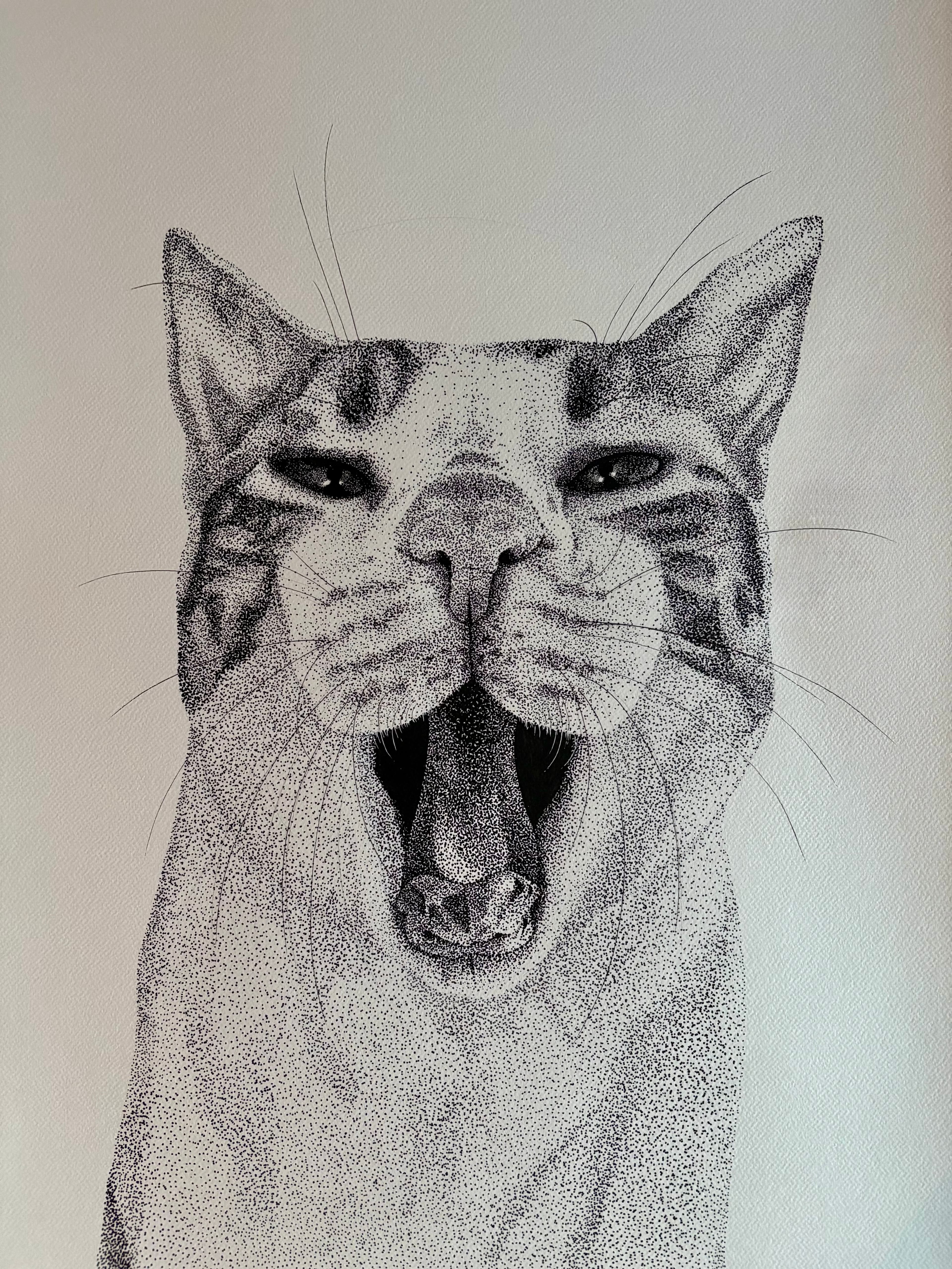 Le portrait de Mirou